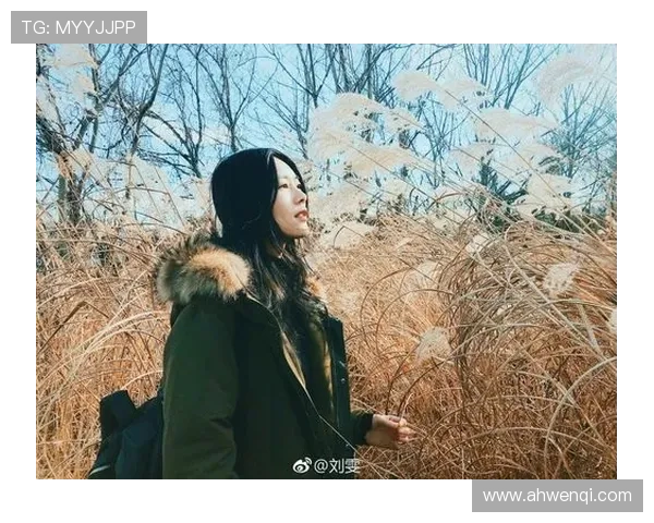 夏日微风中的爱情誓言与温柔岁月