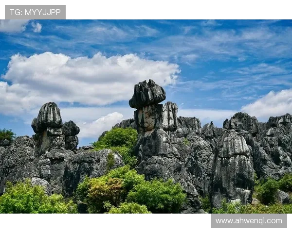 原始之美：重拾自然的呼唤，唤醒内在的野性